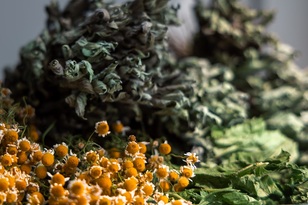 Natural vitamins for male energy and vitality